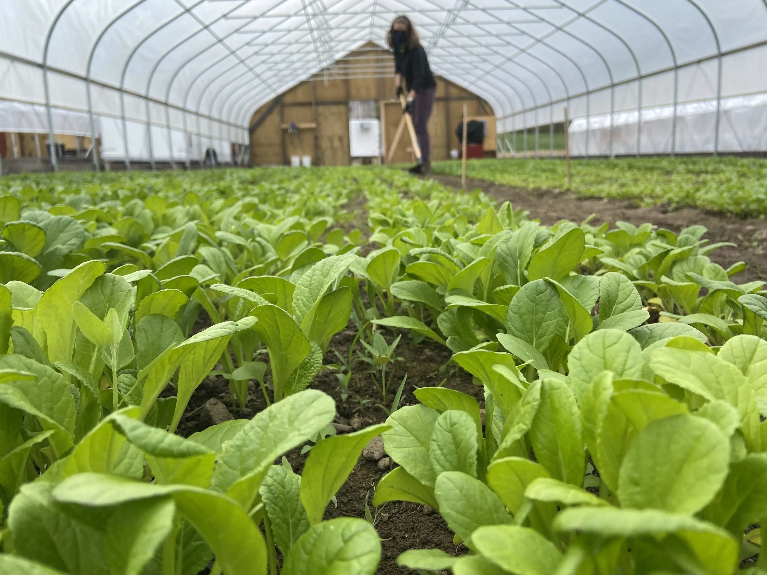 How We Did This: North of Boston Farm