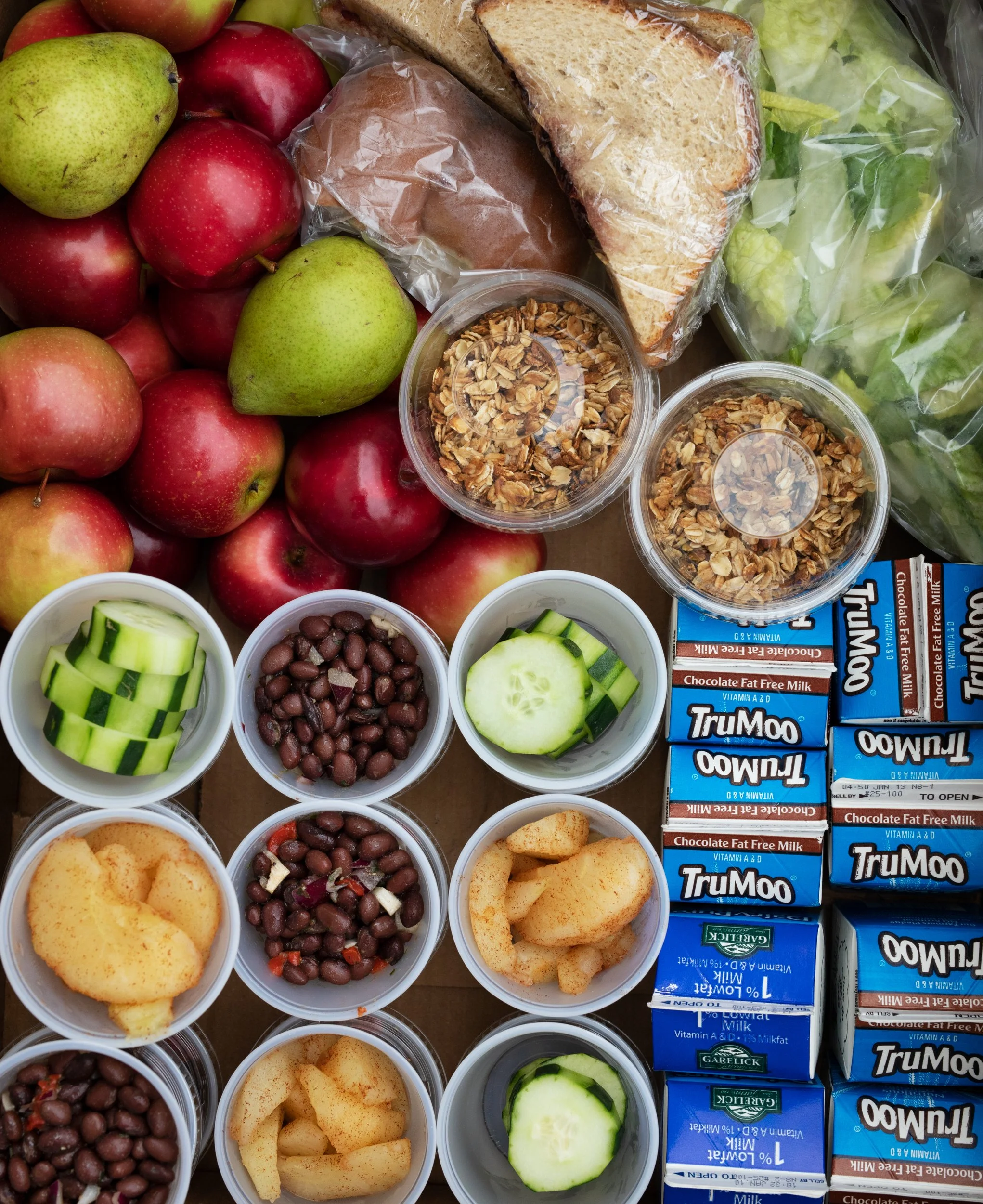 Lessons in Food: Food System Literacy for Children