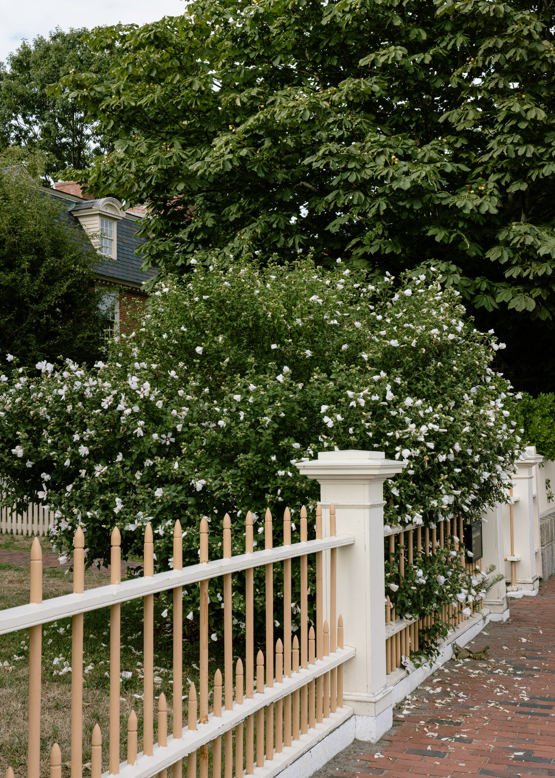 Derby House; Downtown Salem