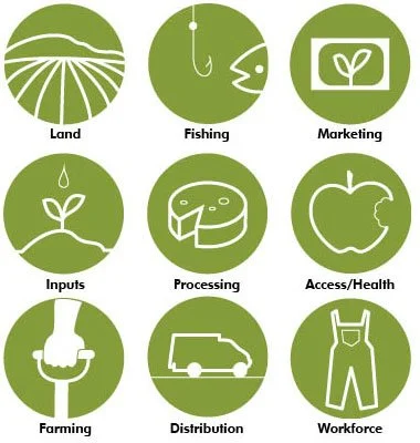 Balancing the Food Equation with Public Dollars