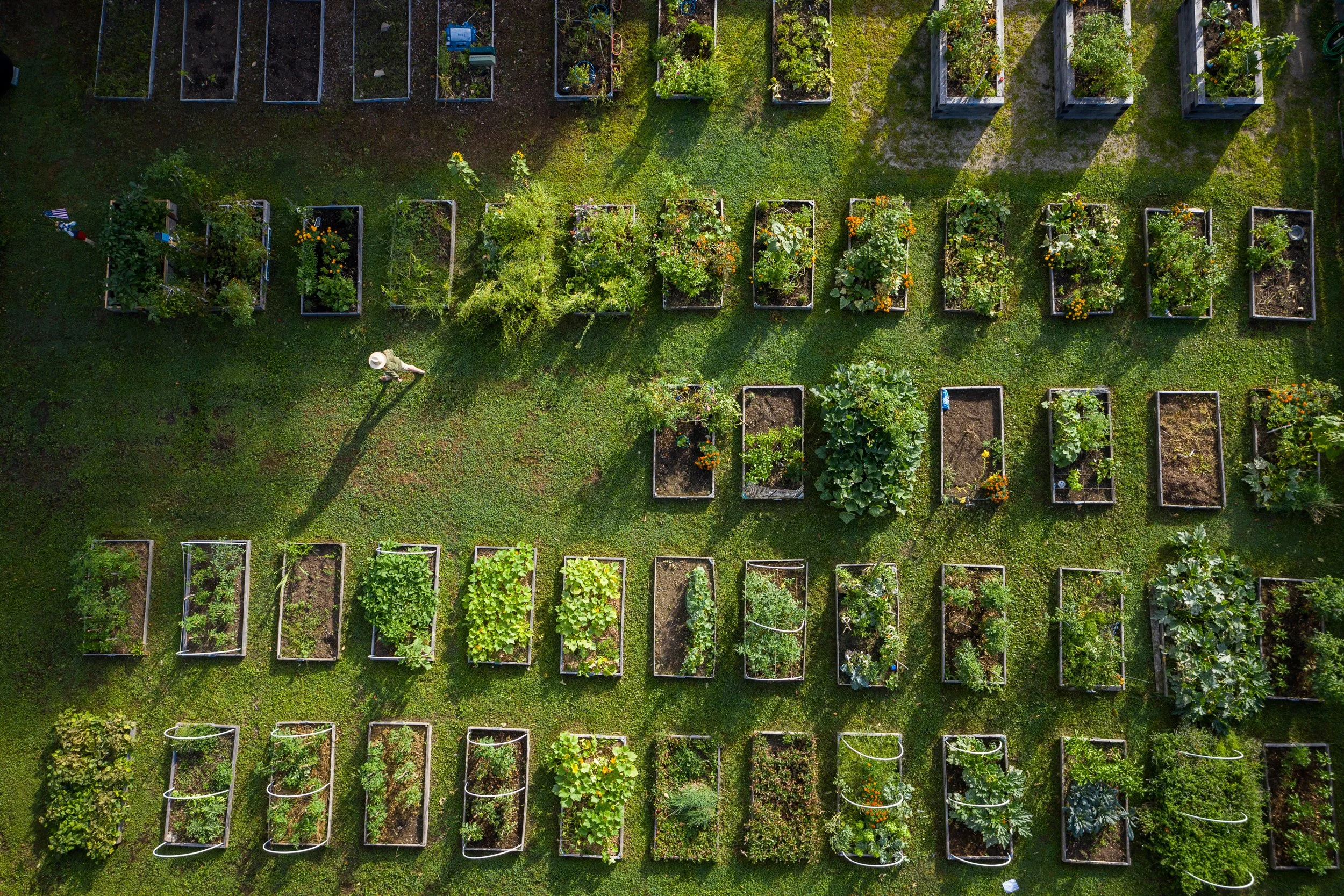 Food System Inequities Don’t Happen by Accident