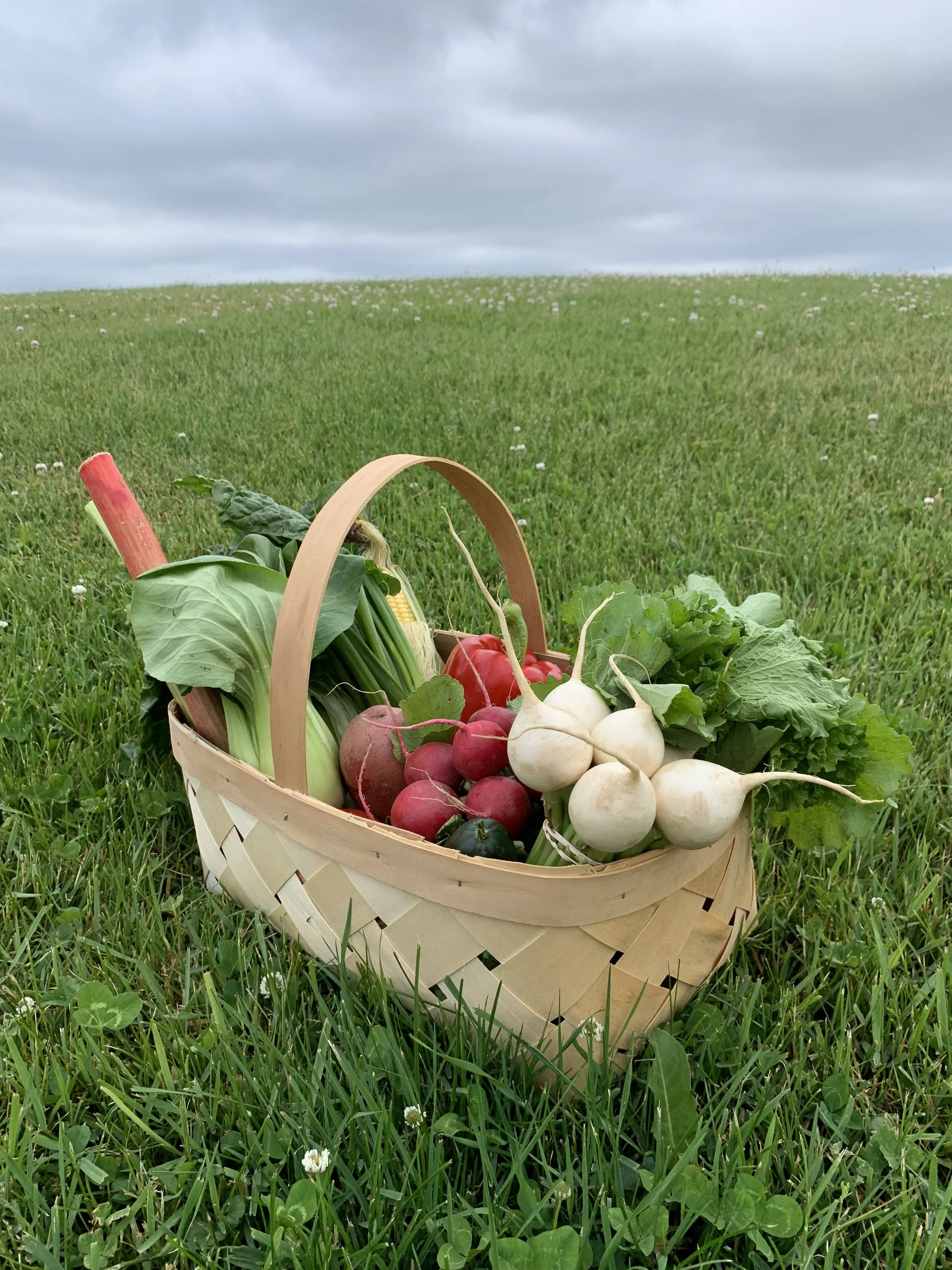 csa basket.jpg