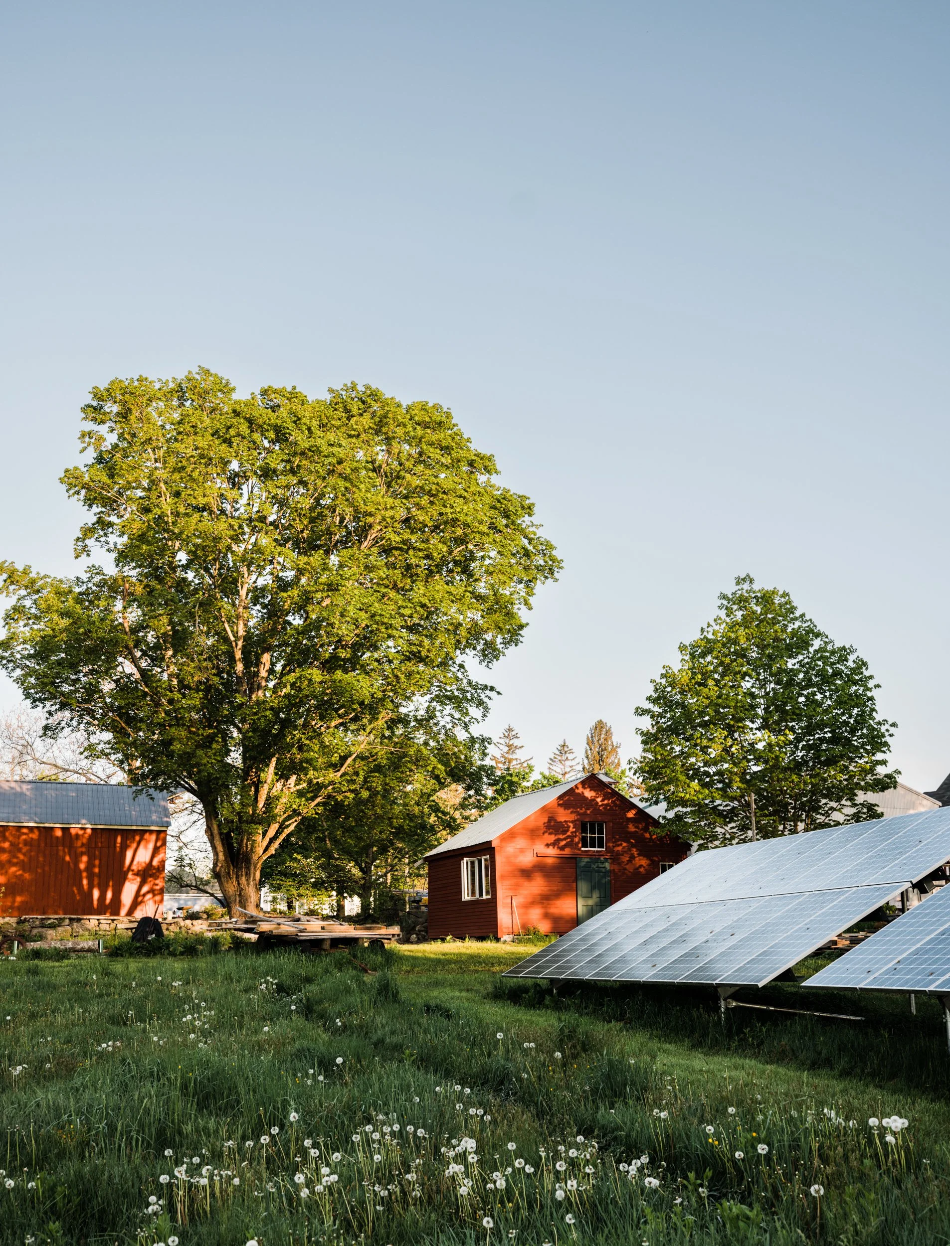 The Seventh Generation at Cordelia’s Farm