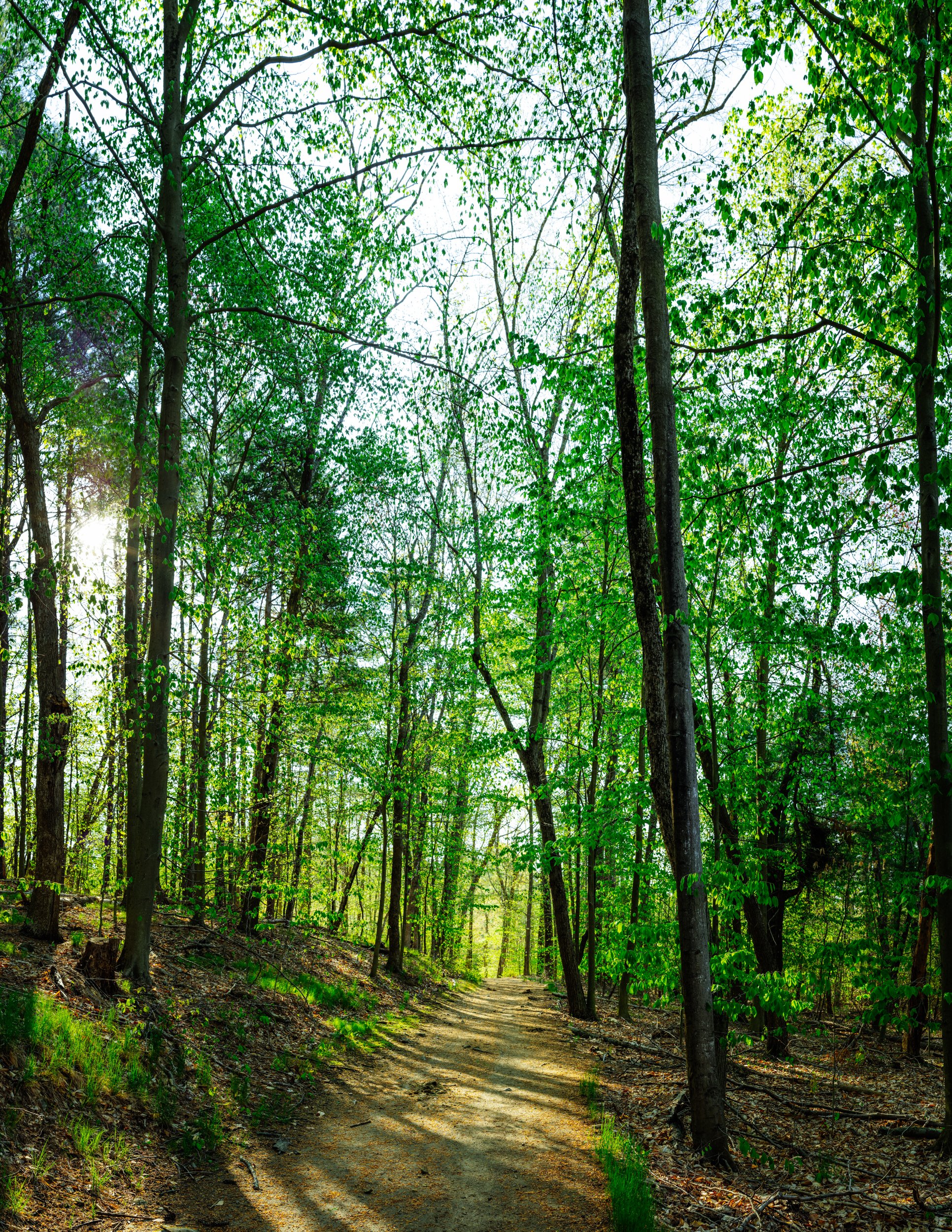 FEA_NorthShore-BradleyPalmerPark_SU23_Piazza_2533_3119-HDR-Pano_WEB.jpg