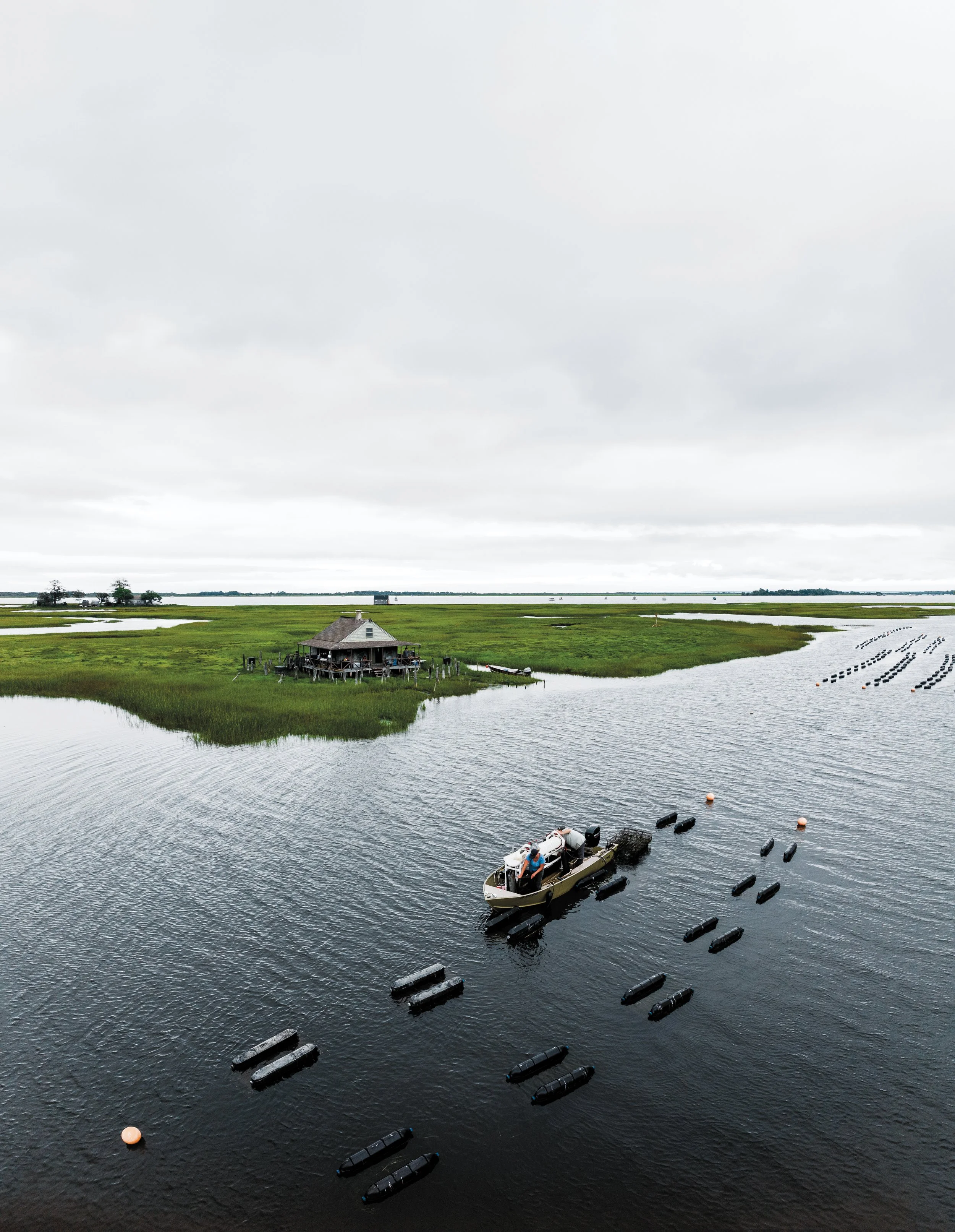 Great Marsh Shellfish Company