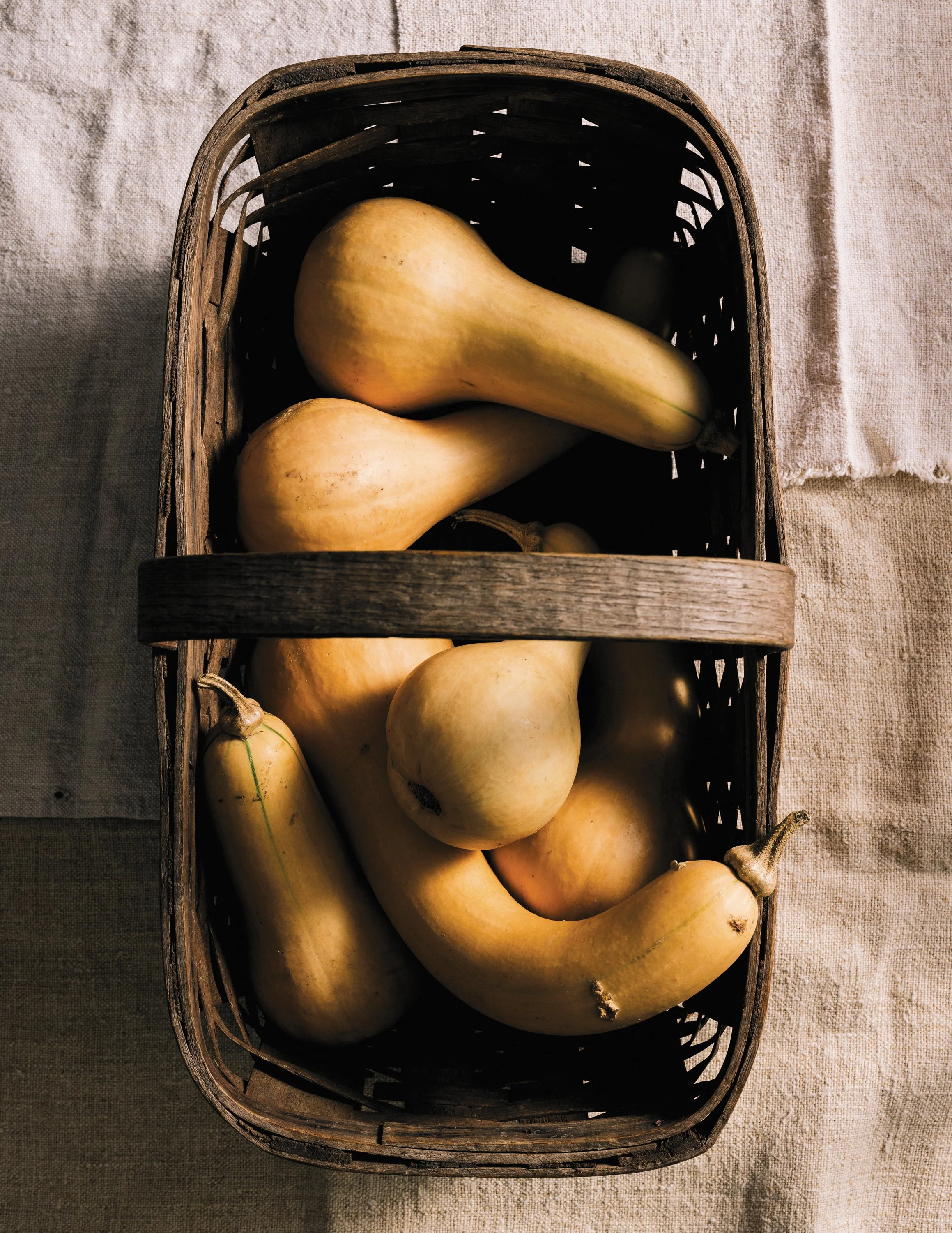 Born in Stow: the Butternut Squash!