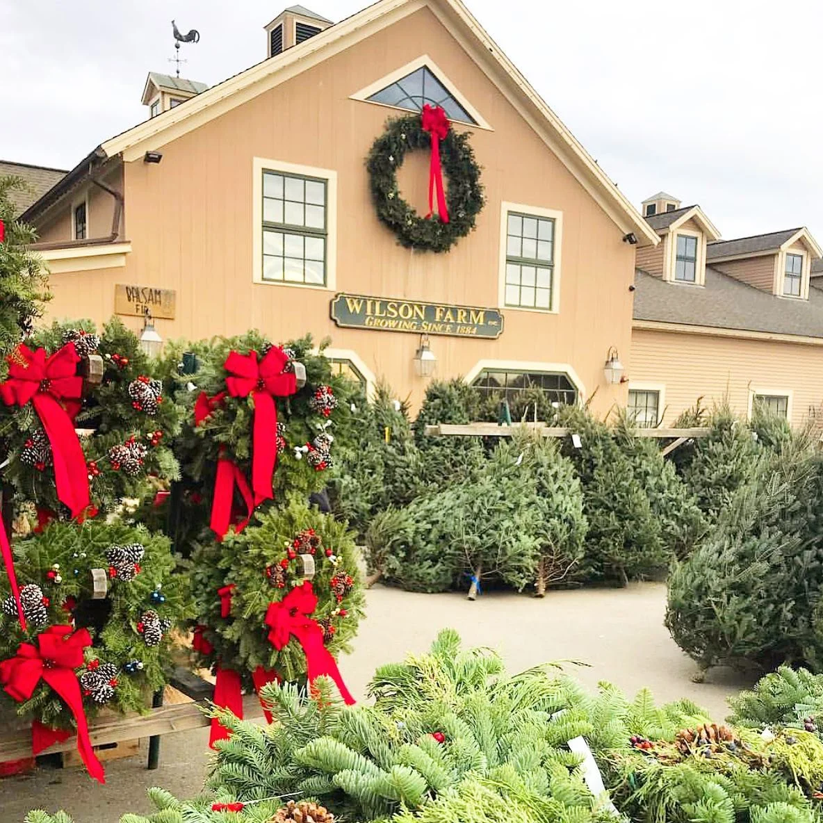 Wilson Farm, Holiday Gift Guide 2023