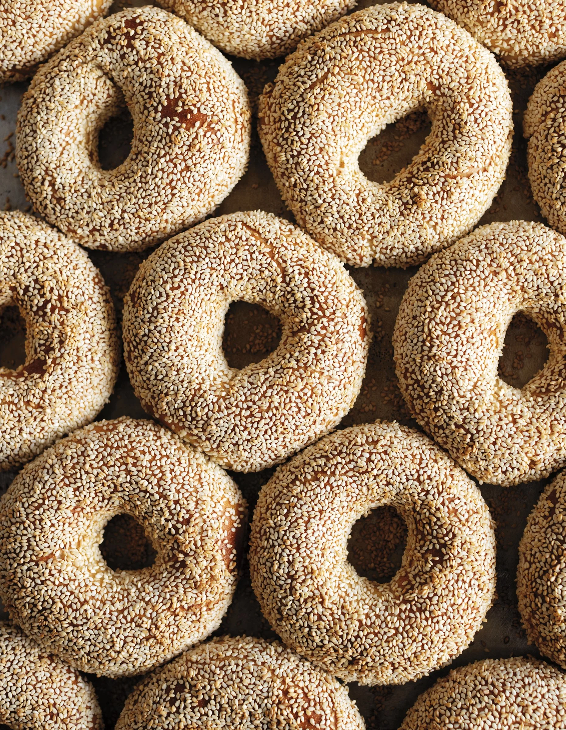 FEA_Rebelle_ Bagels_Sp24_Campos 3-Edit.jpg