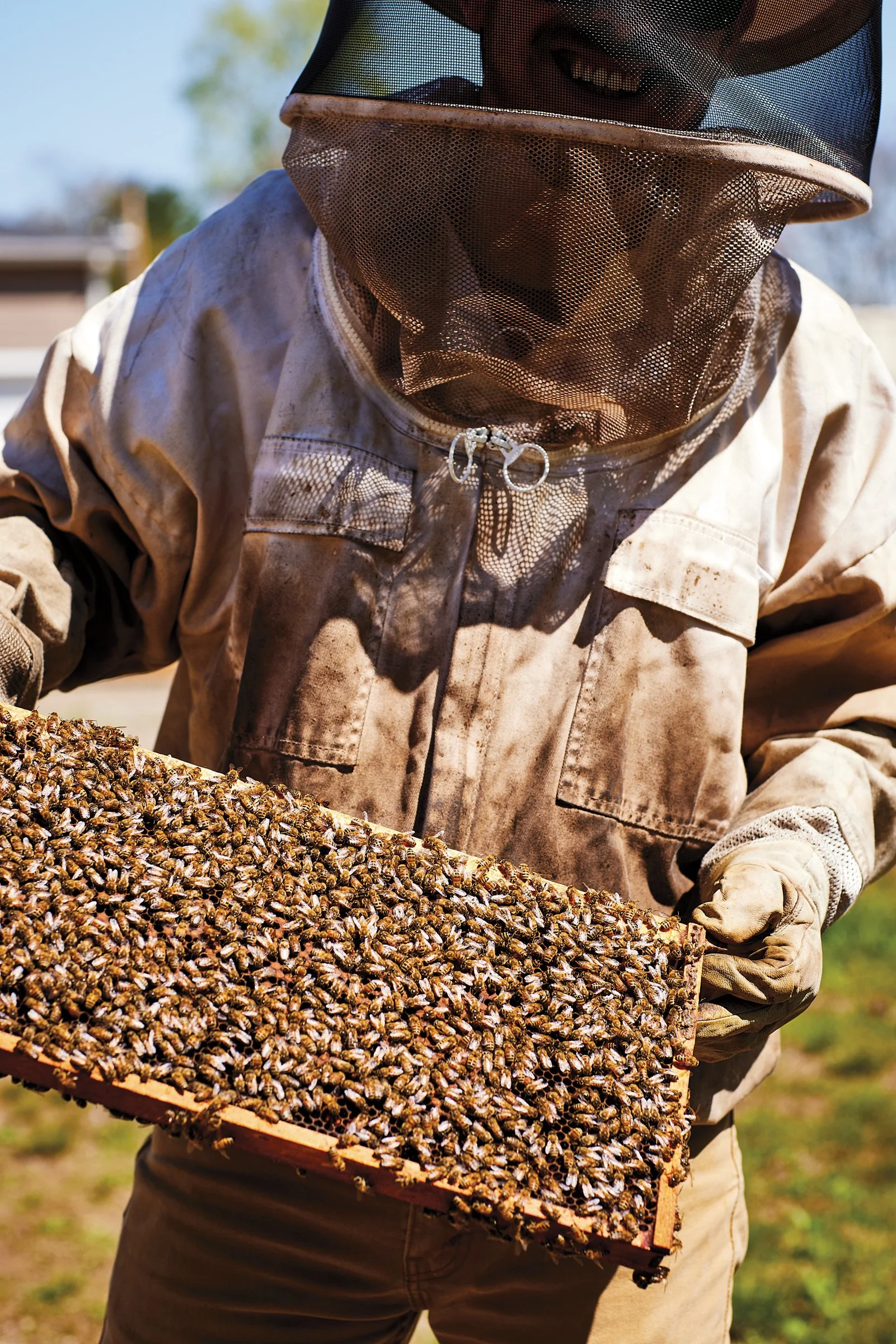 FF_Boston_Honey_Co_S24_Campos.jpg