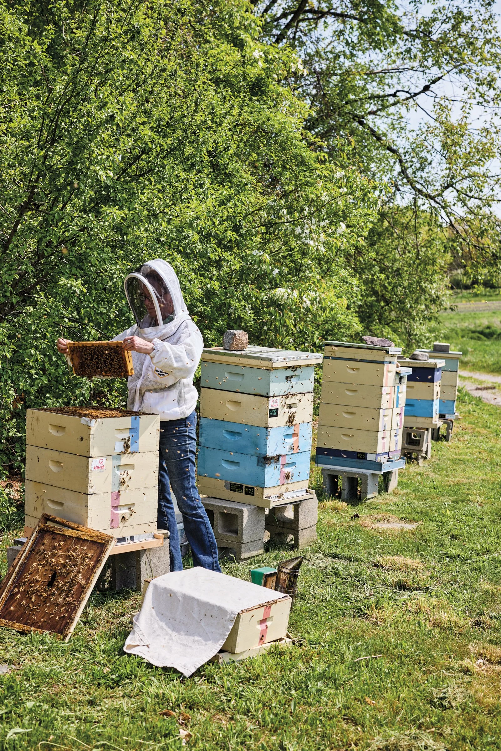 FEA_AllendaleBees_Summer24_Piazza-0588.jpg