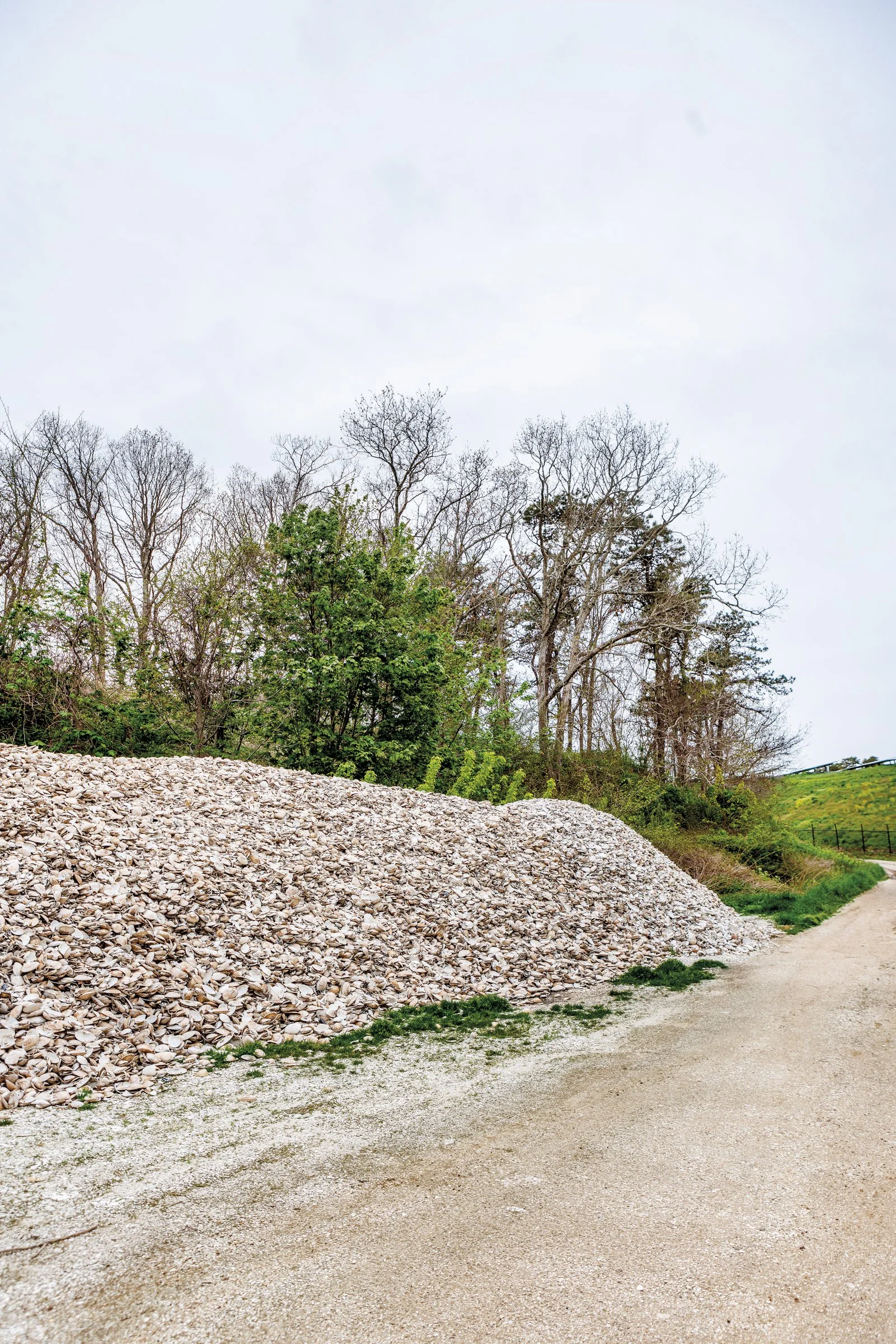 FEA_OysterProject_Summer24_DeTour-8493.jpg
