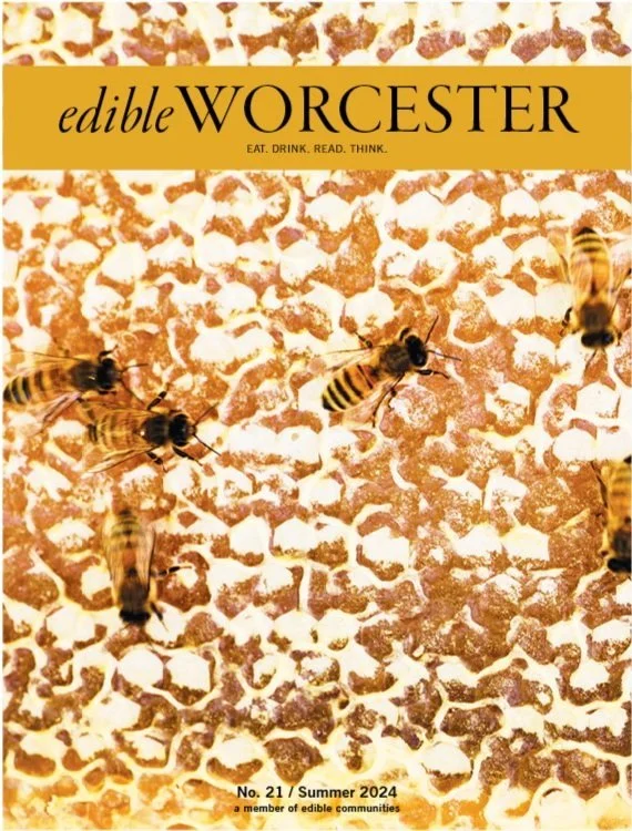 No. 21 / Summer 2024