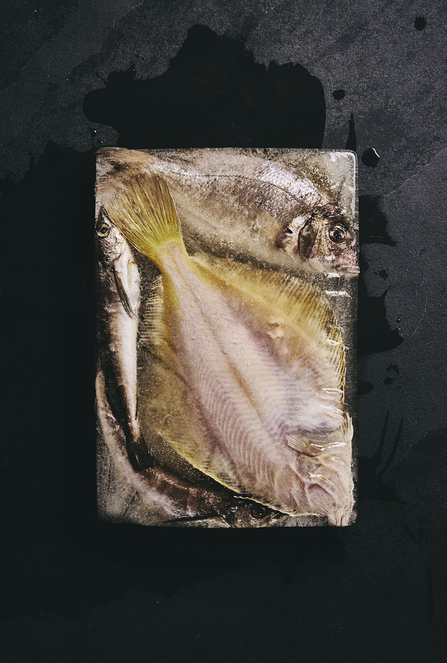 Go Fish... In Your Freezer