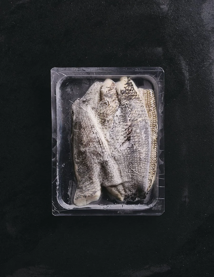 2024-08-04_EB-FrozenFish-0763.jpg