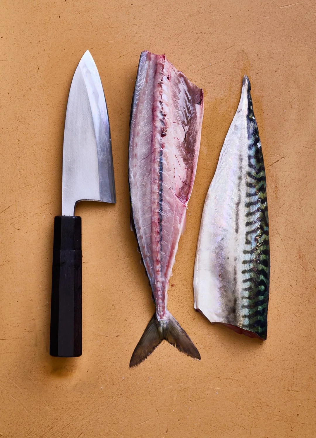 FEA_SushiMasters_W25-Piazza-2717.jpg