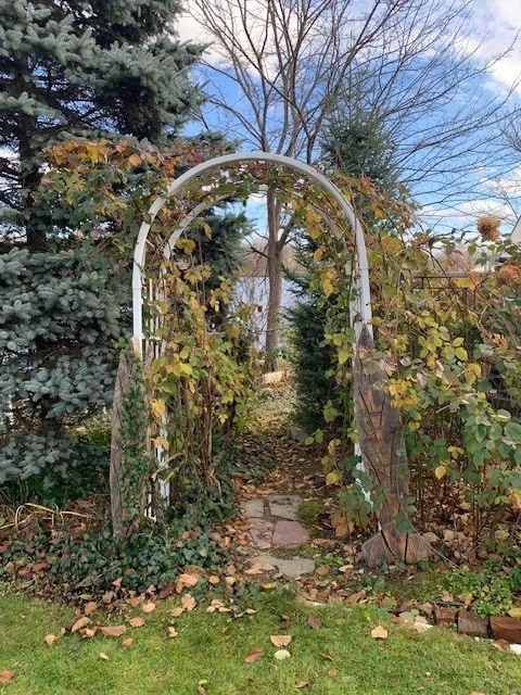 Nina Buxton's Garden 3.jpg