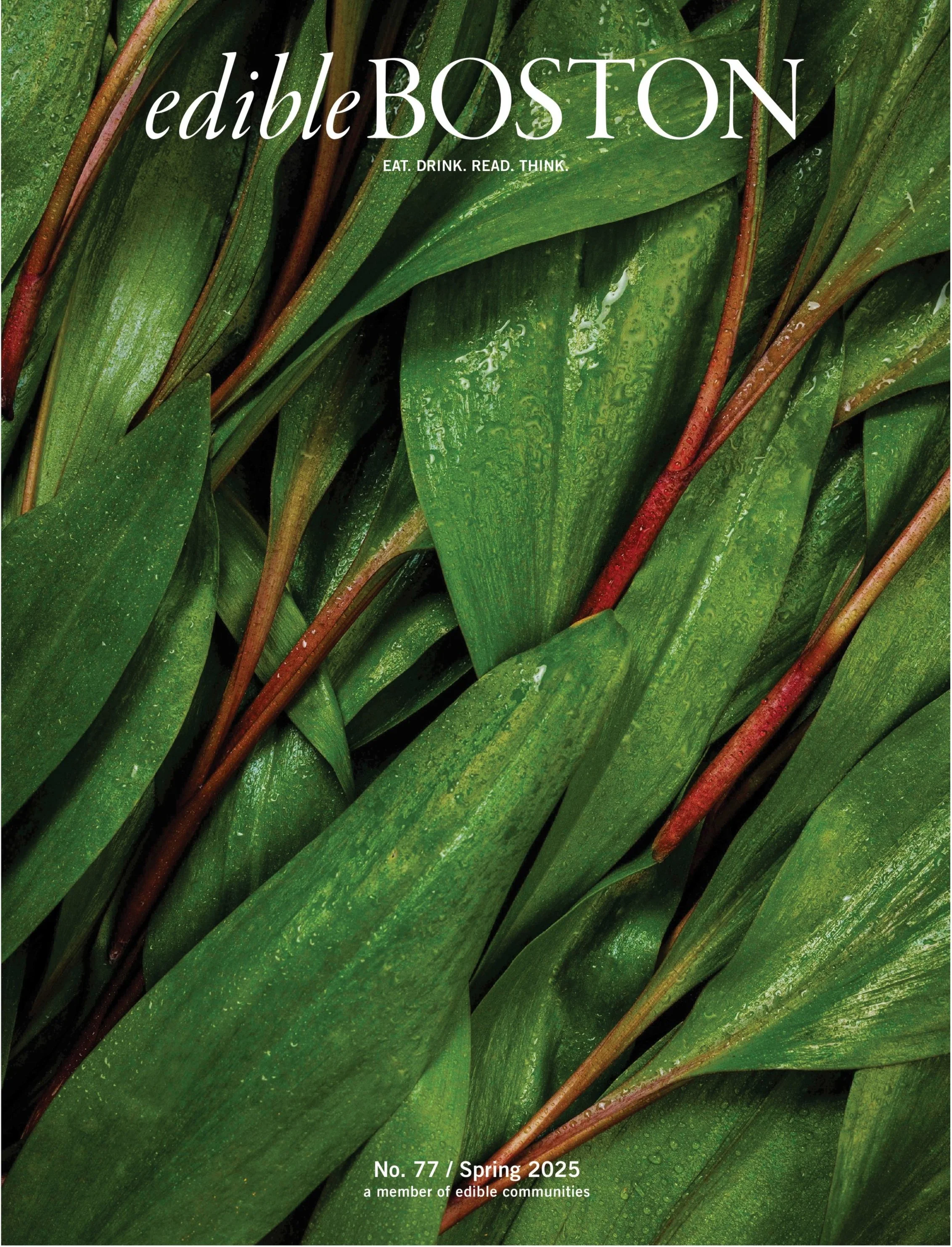 No. 77 / Spring 2025 