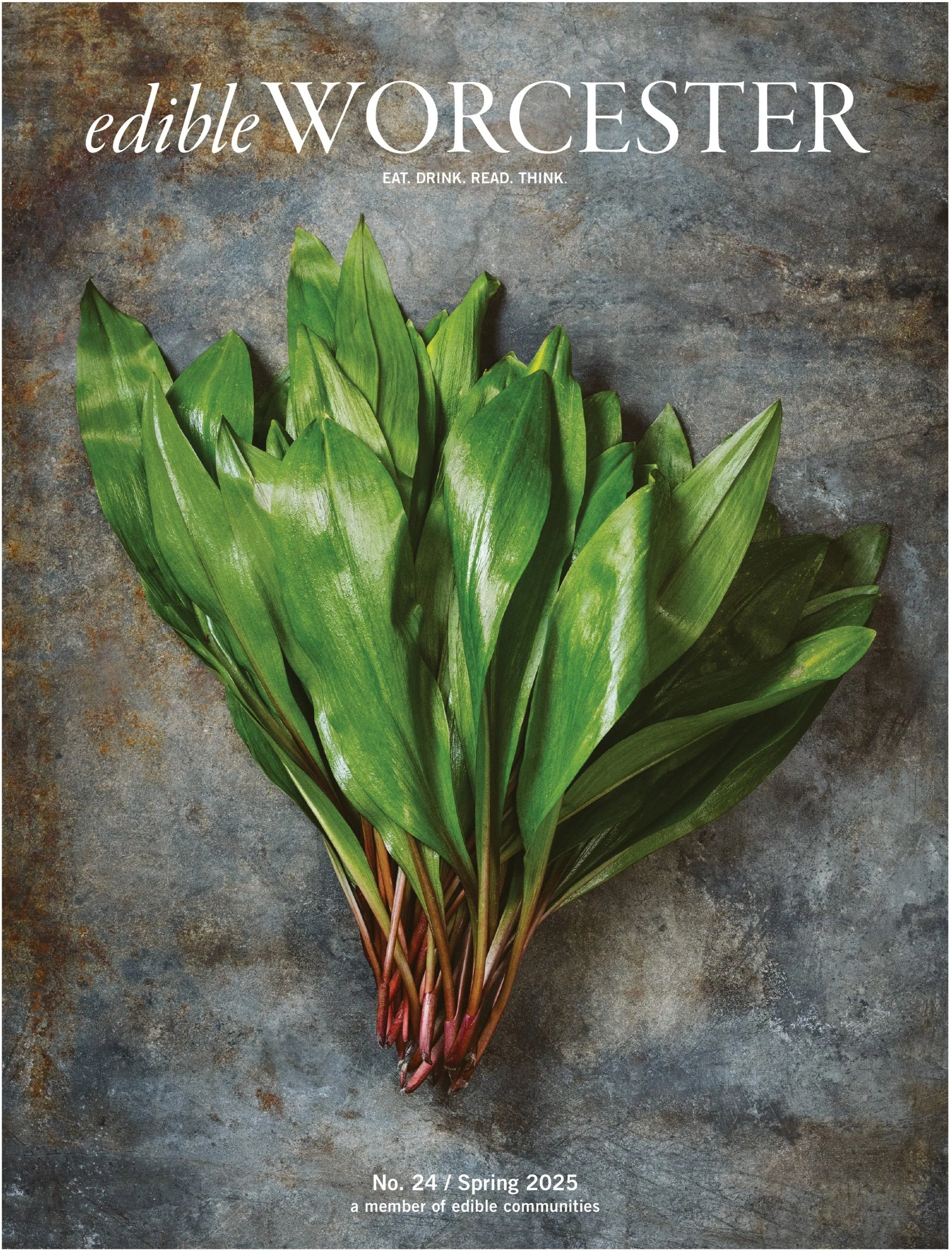 No. 24 / Spring 2025