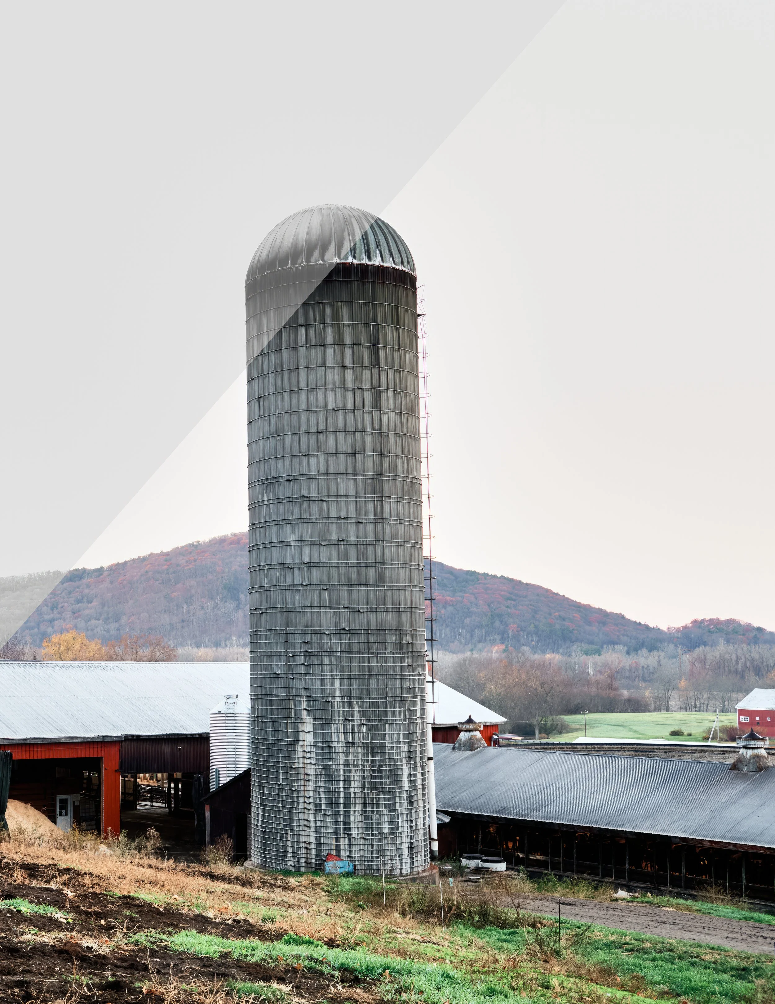 Broken Promises: Sudden Cuts to Federal Food Funding Cause Chaos For Farmers and Jeopardize Food Security