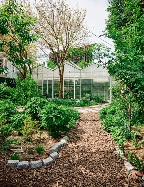 Piazza_EB-EastieFarm-0634 Medium.jpeg