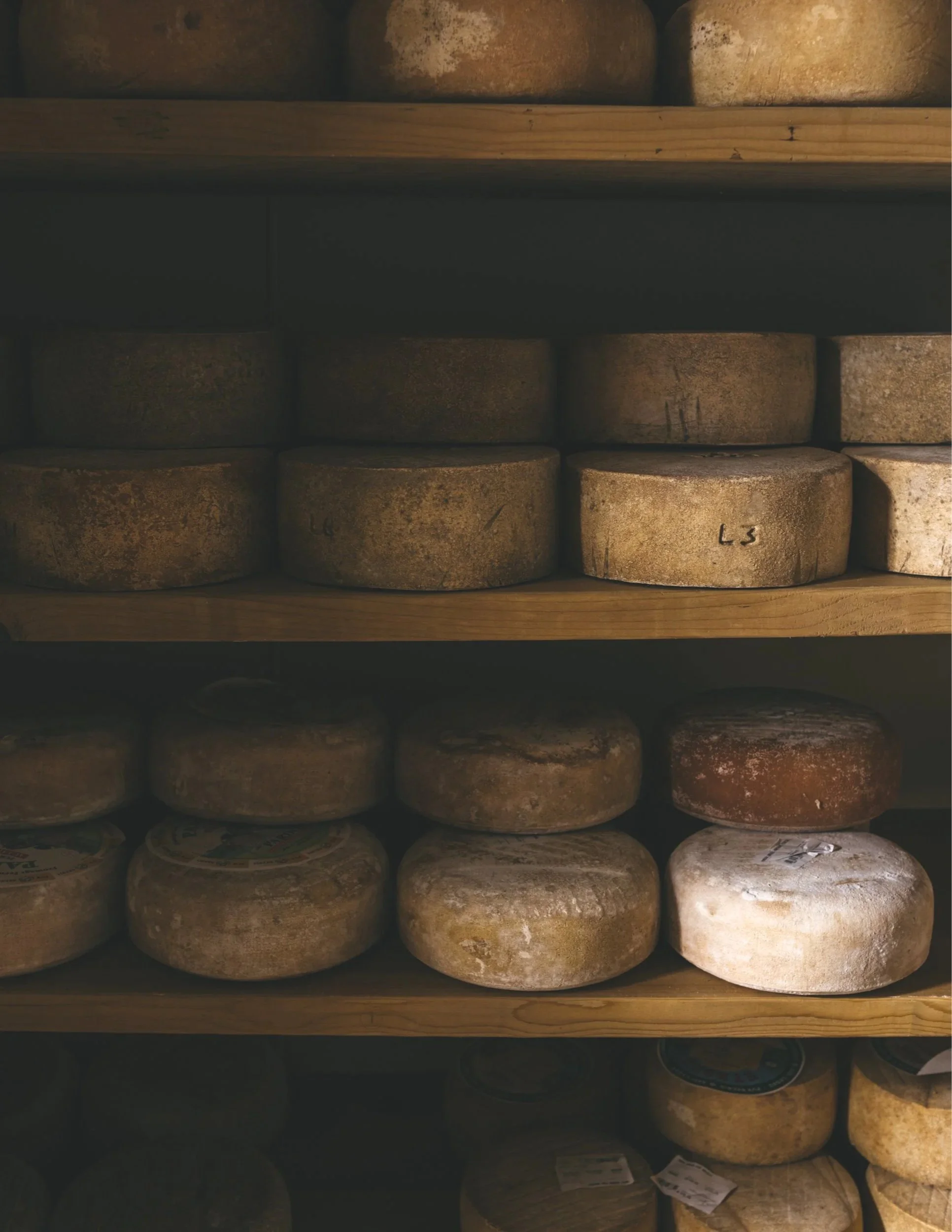 The Winter Cheese Cycle: From Festive Feast to Quiet Chores 