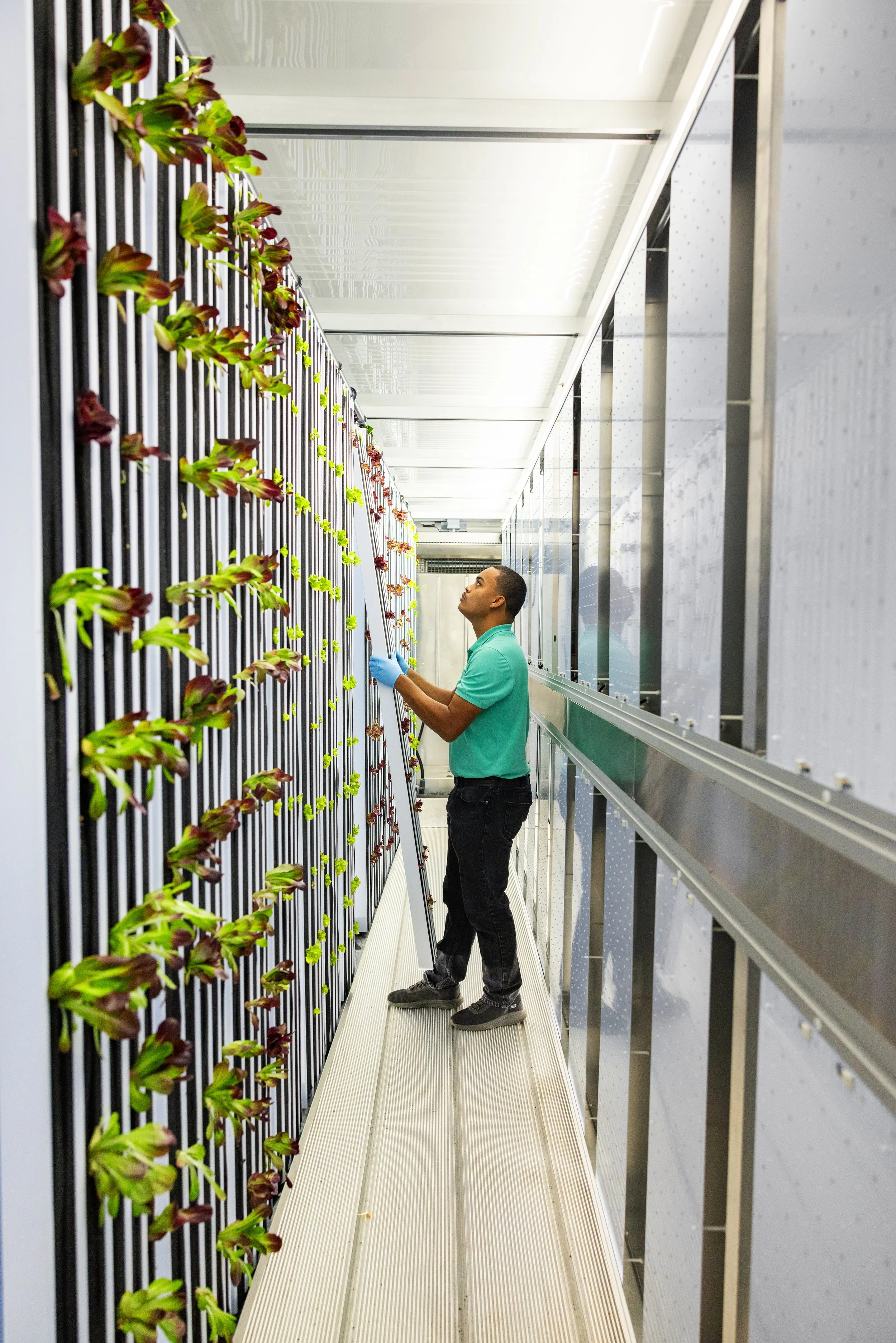 FEA_2Gether_W26_Detour-1565 copy.jpeg