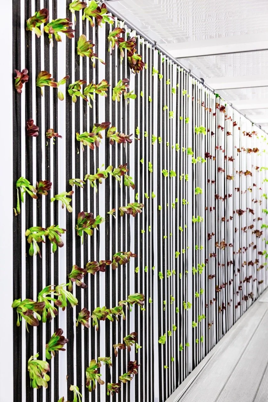 FEA_2Gether_W26_Detour-1664 copy Large.jpeg