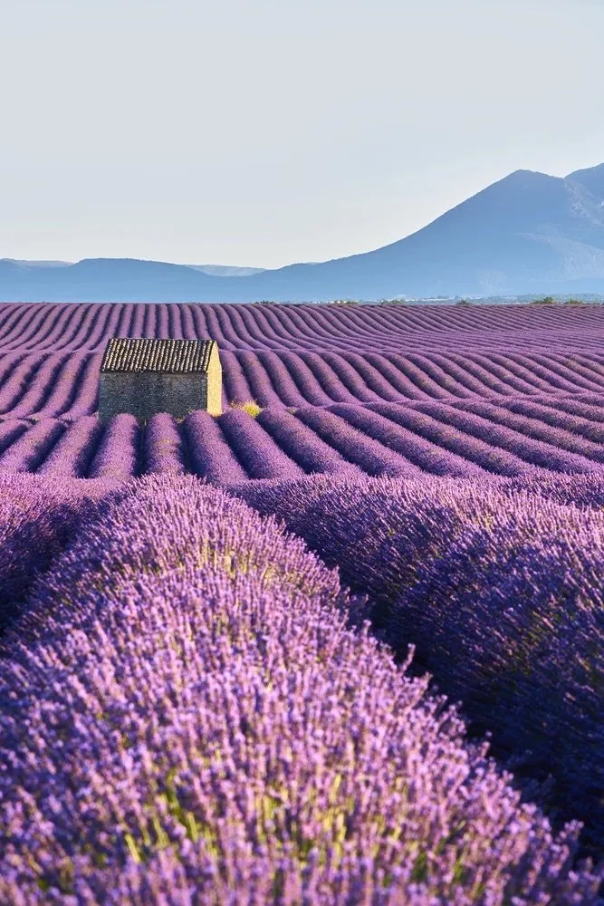 Tour to Aix, Arles &amp; Avignon: Shop Local Winter Gift Guide 2025