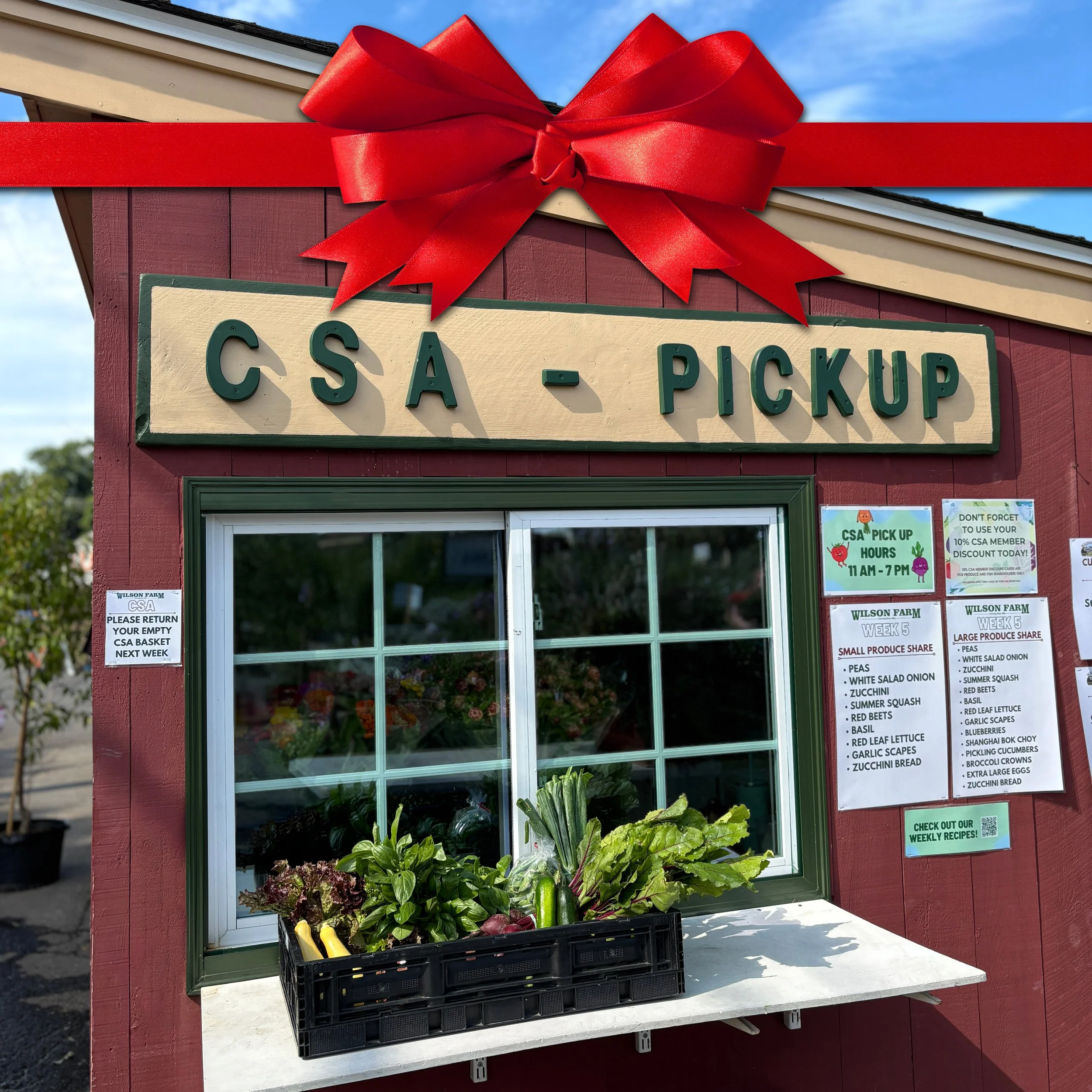 CSA_GiftGuidewithBow.jpg