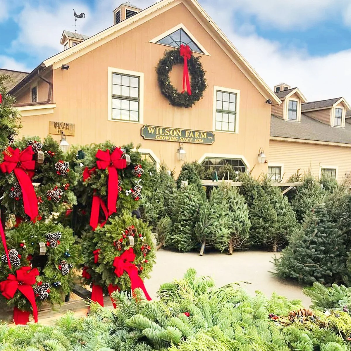Wilson Farm: Shop Local Winter Gift Guide 2025