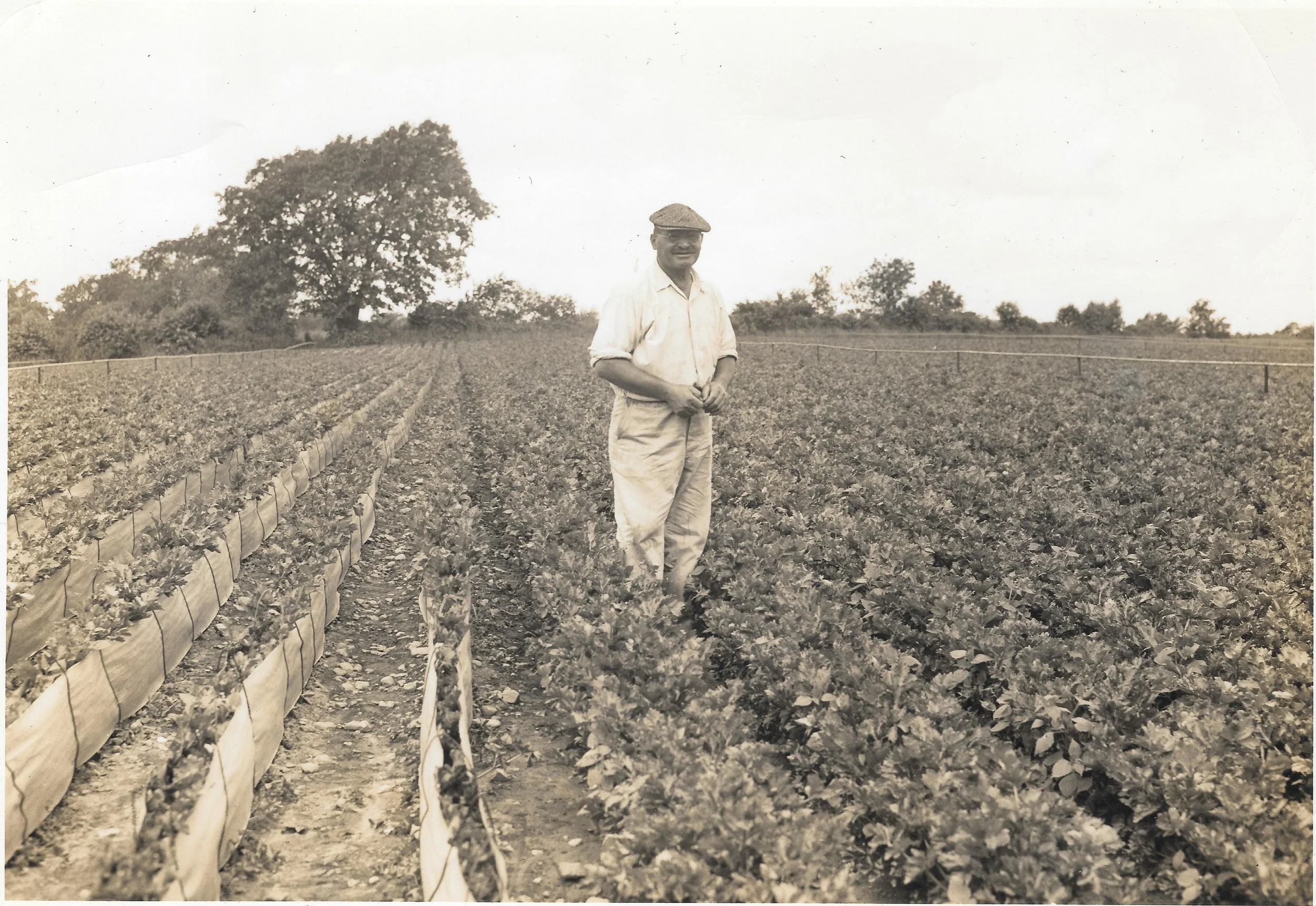 Historic Family Farms: 100 Years and Counting