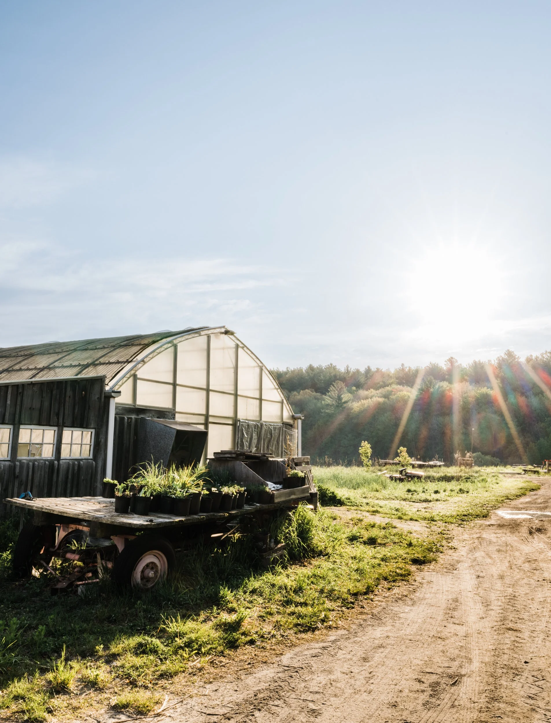 Century Farms in Eastern MA