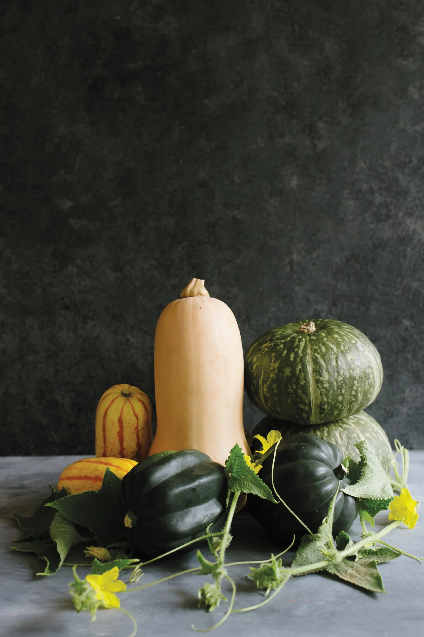 OI-WinterSquash-378_WEB.jpg