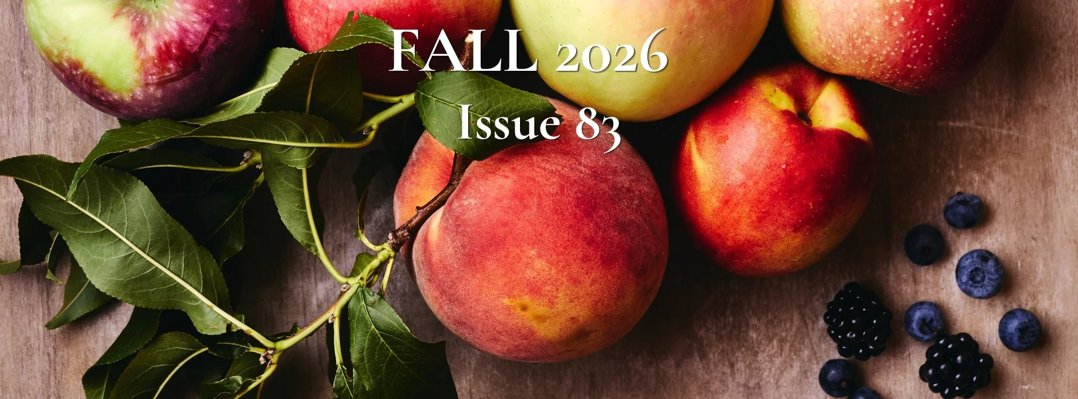 fall26_3.jpg