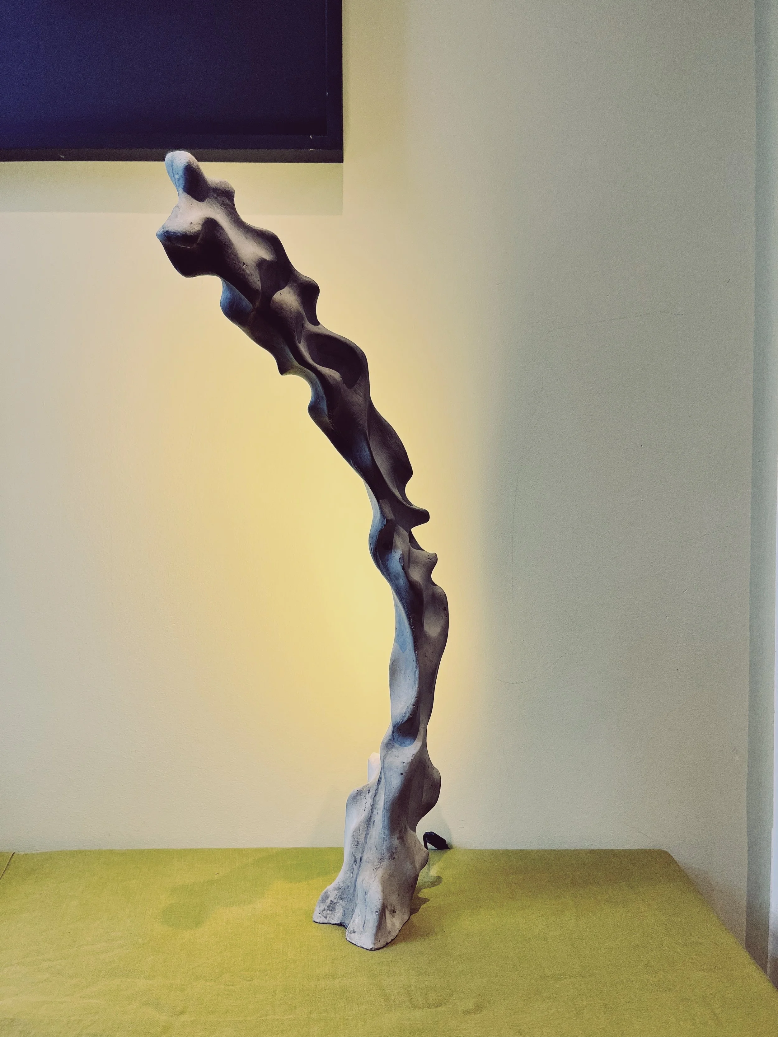 BAE7E186-155E-41AB-BFE9-D384AA1B14CE 2.JPG