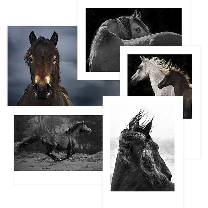 GreetingCards_5R.jpg