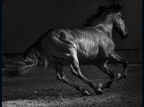Port19_050219_026A6613_sm.jpg