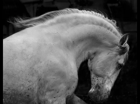 PORT_051316_026A5296_Web_2.jpg