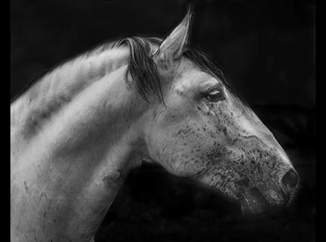 PORT_051316_026A5316_Web_2.jpg