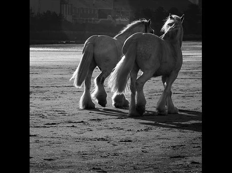 UK_091417_026A8440_BW_sm_web-1.jpg