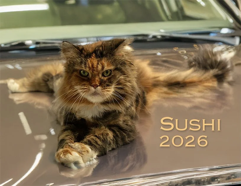 COVER_2R_Sushi2Car_026A0172_sm.jpg