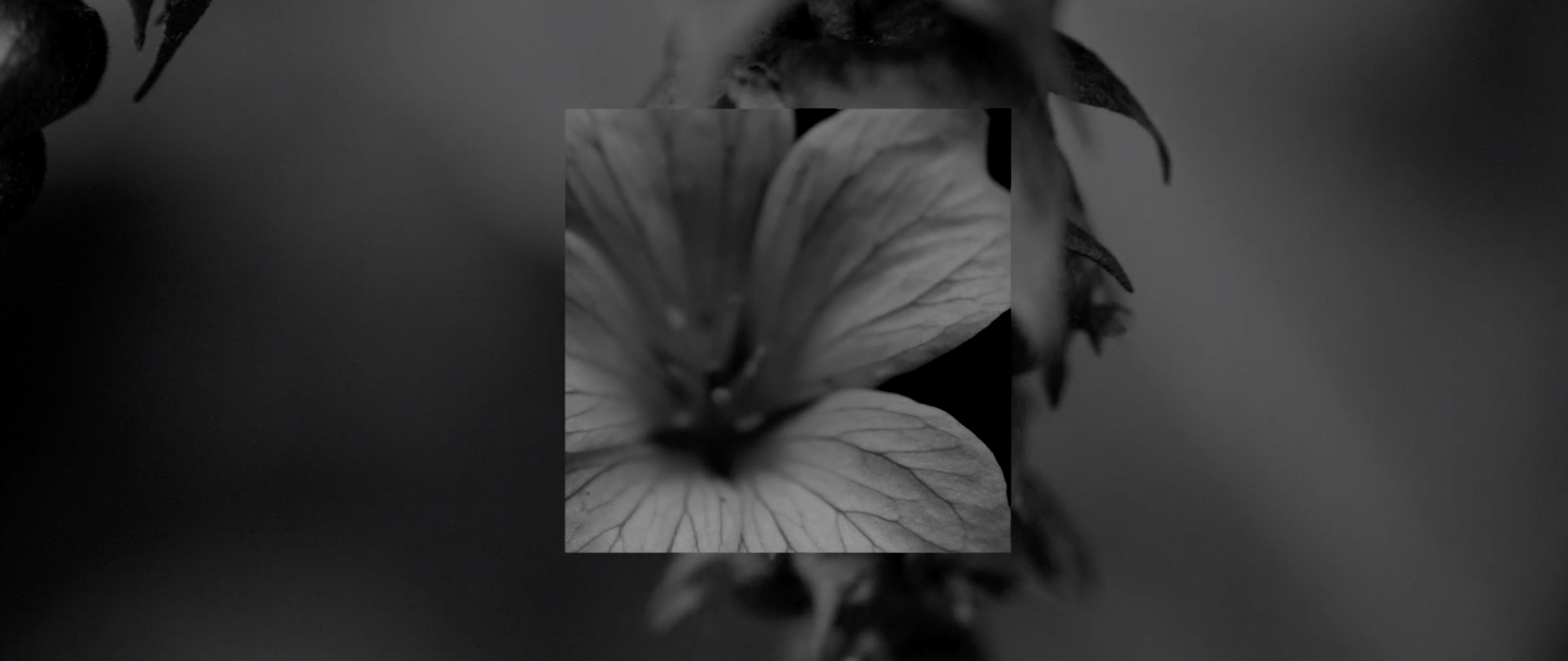 Screenshot 2022-01-03 at 18.13.56.png