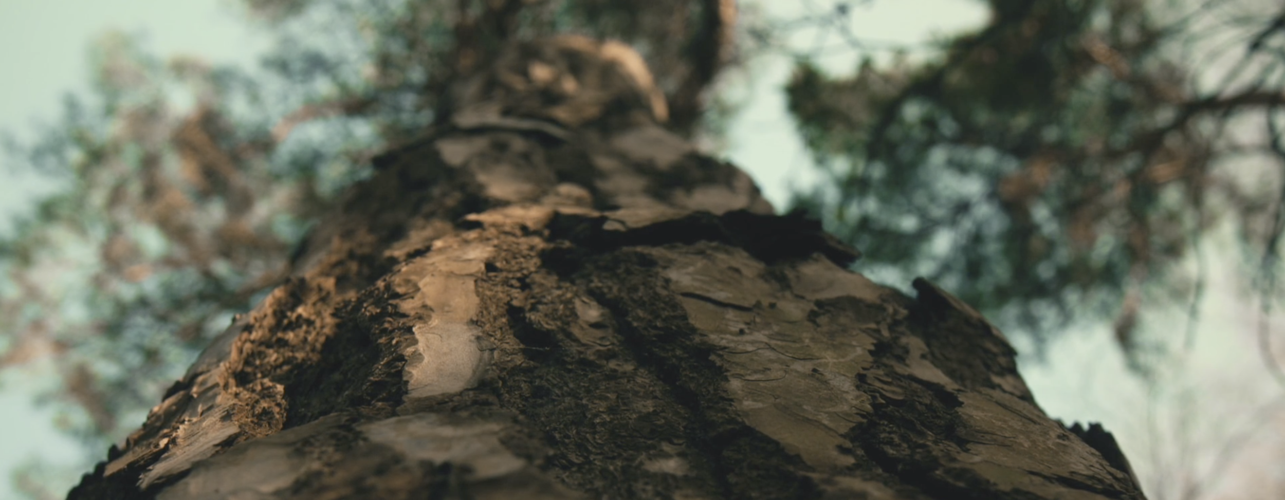 Screenshot 2022-01-03 at 19.27.08.png