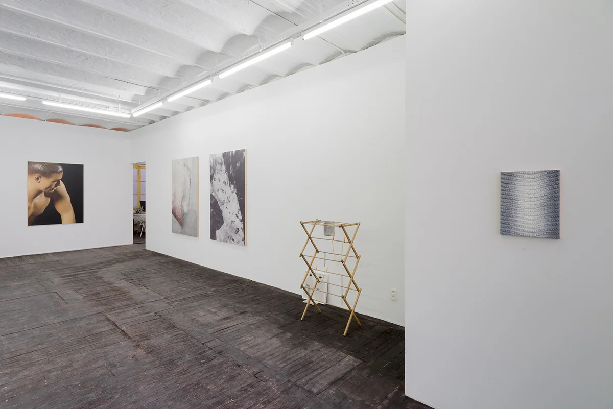 Installation View: BIEN OU BIEN?, Gabriele Beveridge, Aline Bouvy, Hamishi Farah, Mike Goldby, Manor Grunewald, Lucy Kim, Torben Ribe, Amanda Ross-Ho, Dominic Samsworth, Michael Staniak