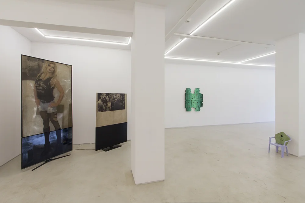 Installation View - WHOLESOME ENVIRONMENT , Alex Da Corte, Bas van den Hurk, Ed Fornieles, Indriķis Ģelzis, Jacolby Satterwhite, Jonny Niesche, Justin Lieberman , Karla Black, Lucy Kim, Magali Reus, Patrick Hill, Philipp Timischl, Ry Rocklen, Takahiro Iwasaki, Yngve Holen
