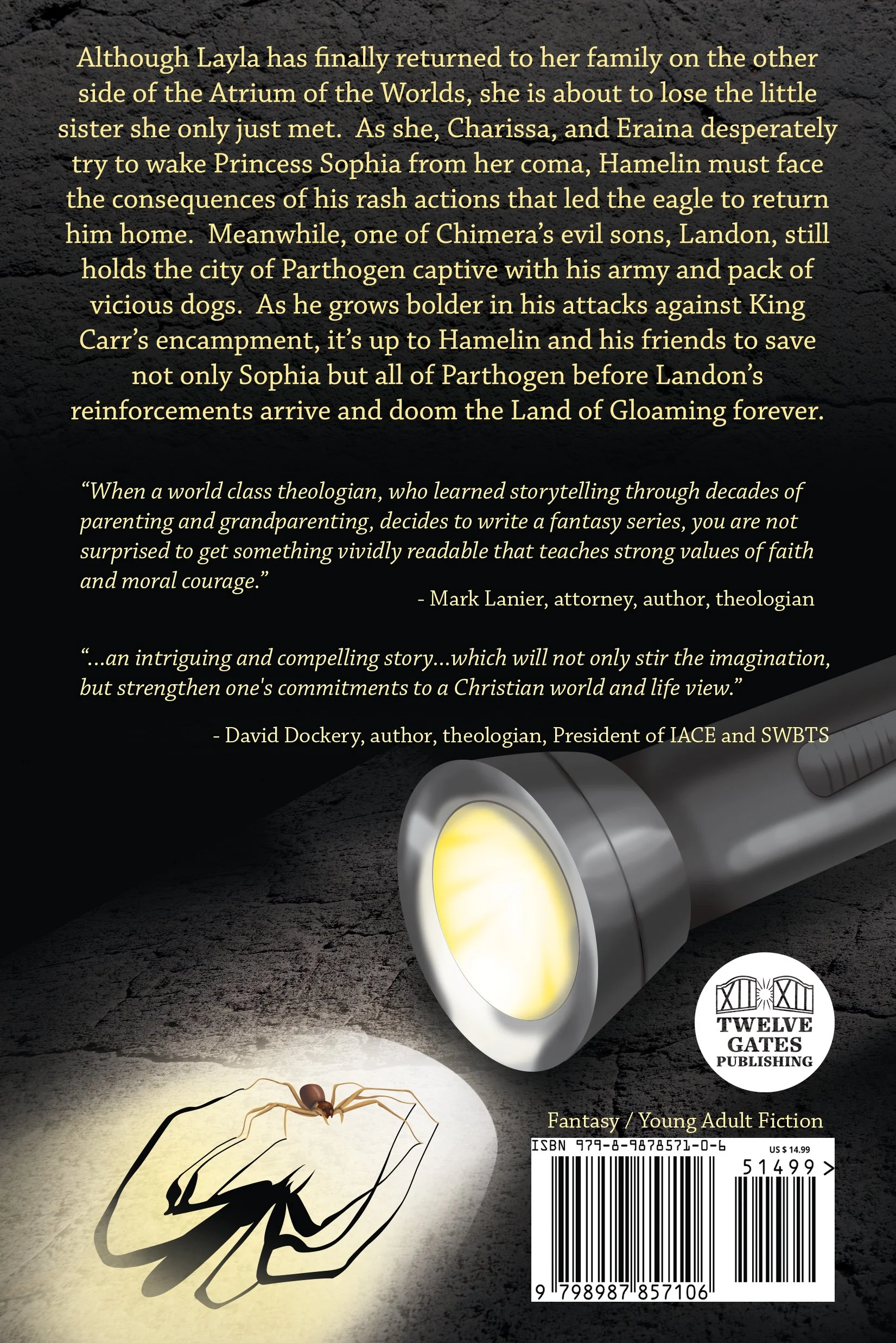 Hamelin Stoop book 4 Cover_back_RGB.jpg