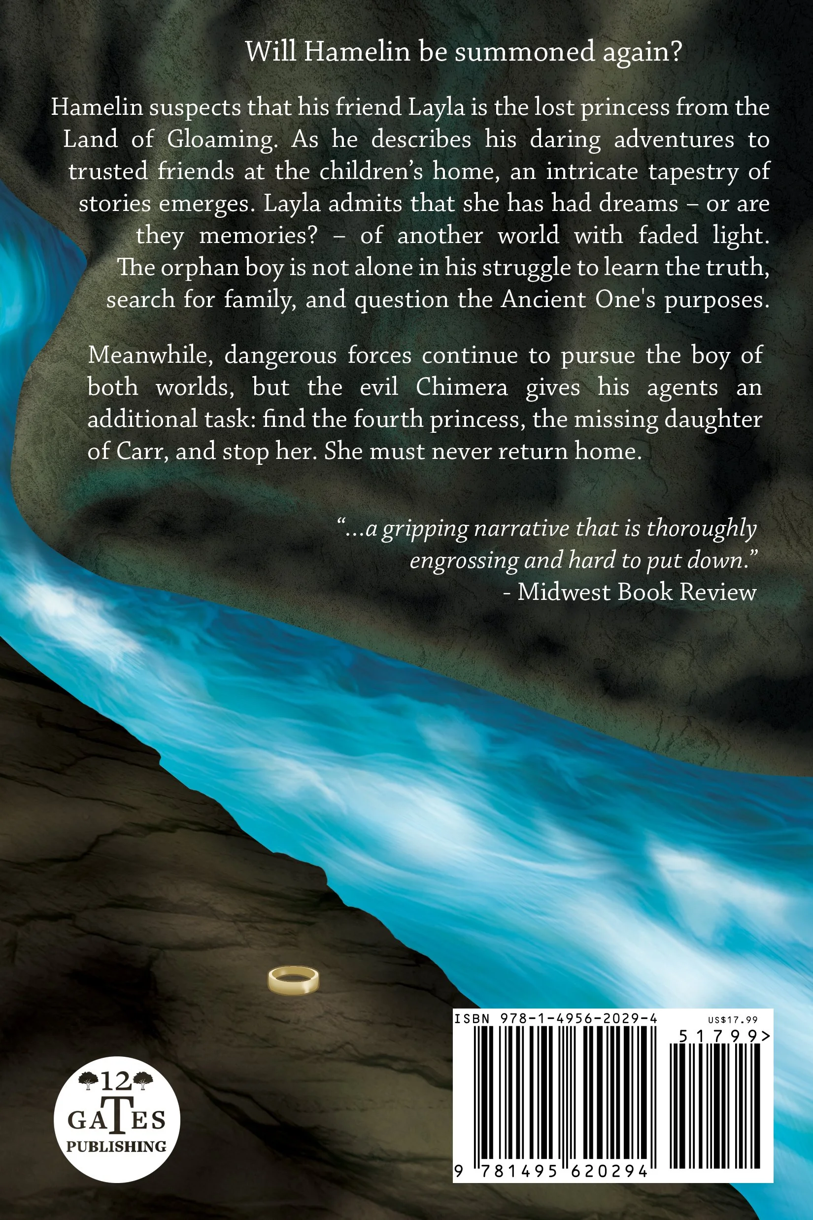 Hamelin Stoop book 3 back Cover_RGB.jpg