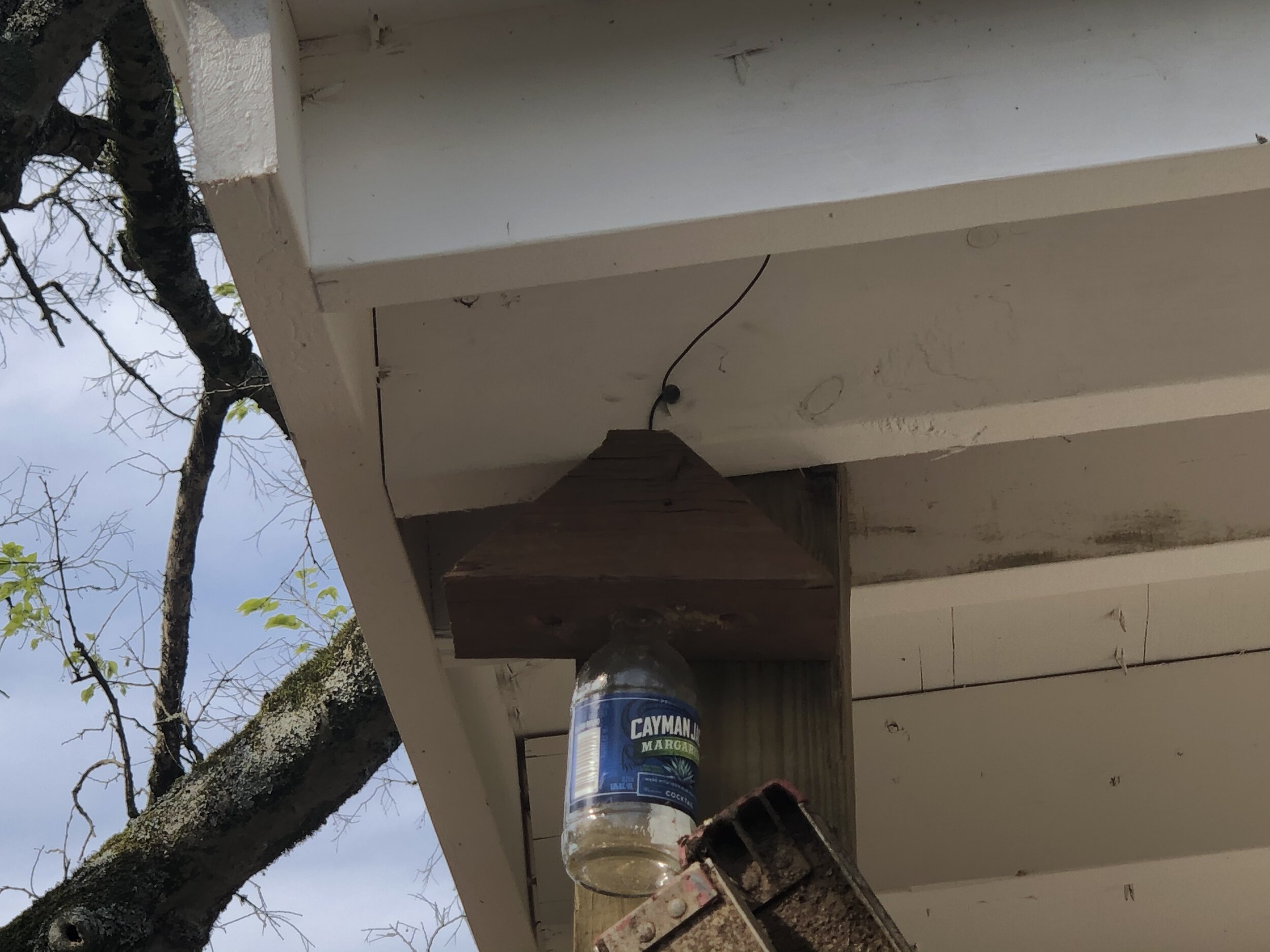 0FF832F5-48EE-4D02-A7F4-63A10276C2E0