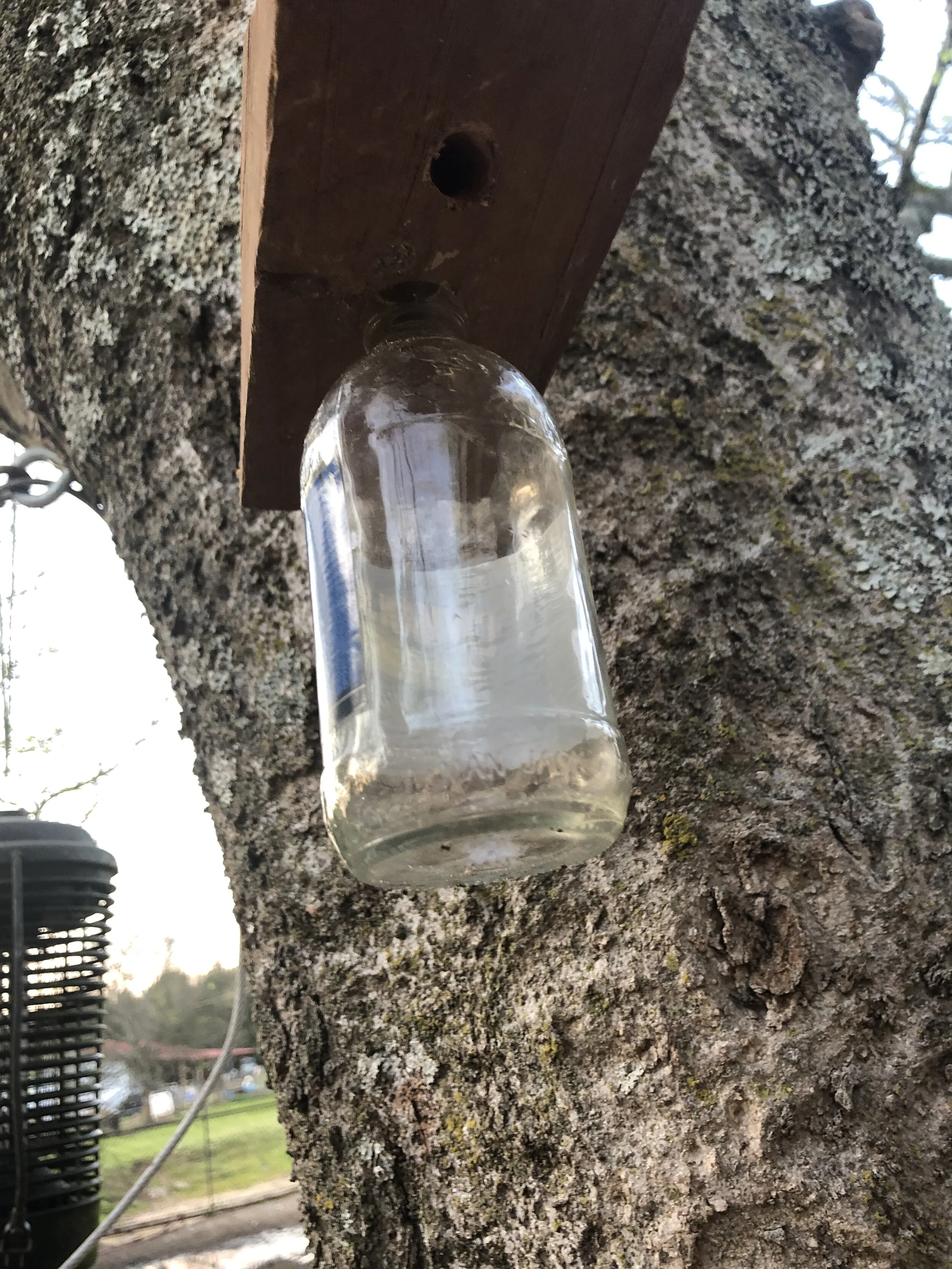 3CC61A43-F560-4B90-B2F4-069B9F686D1C