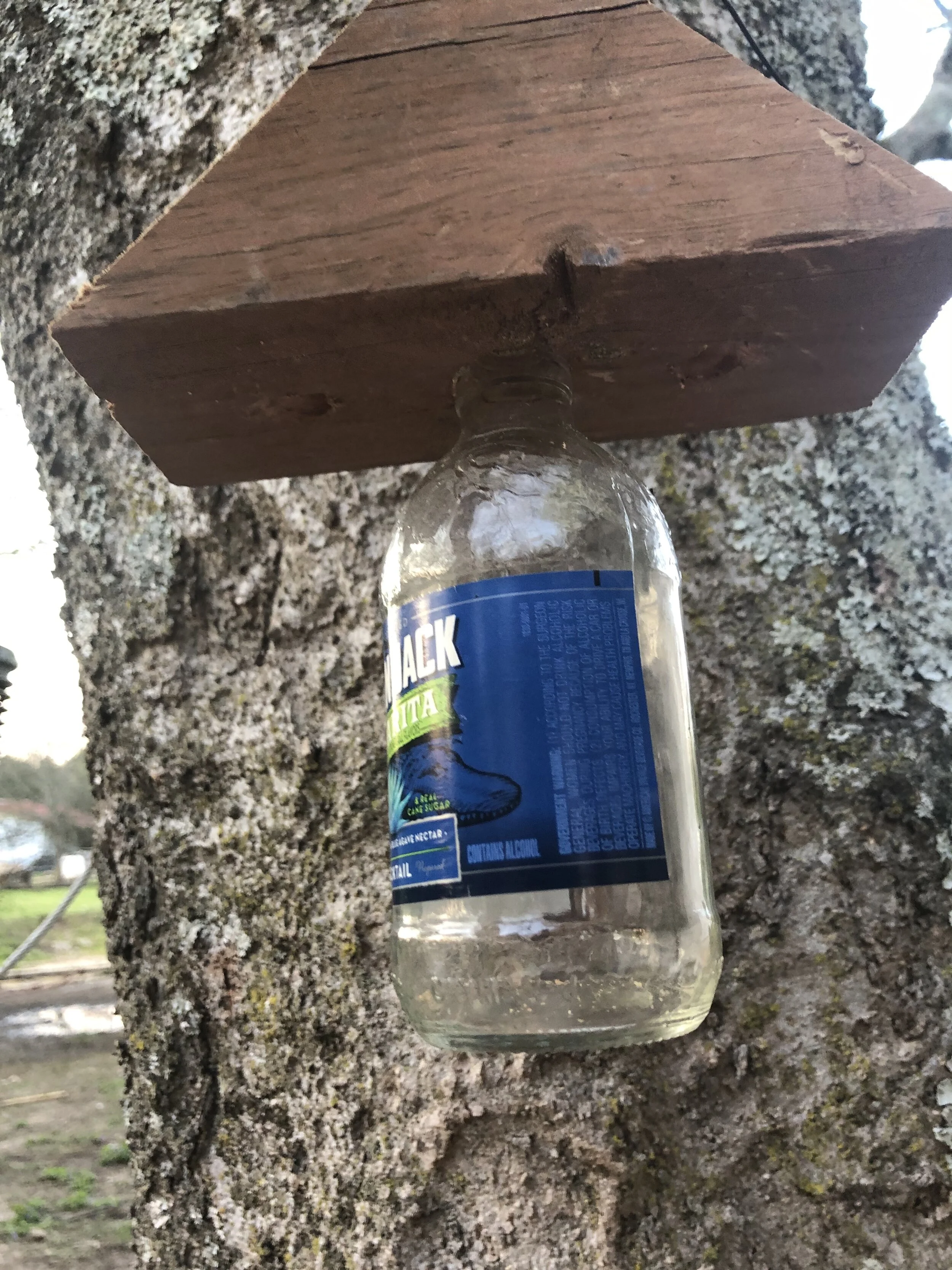 A5E98981-73A0-416D-87E2-C1F6BC21891C